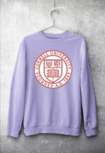 Load image into Gallery viewer, Cornell University Unisex Sweatshirt for Men/Women-Lavender-Ektarfa.online