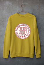 Load image into Gallery viewer, Cornell University Unisex Sweatshirt for Men/Women-Mustard Yellow-Ektarfa.online