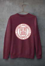 Load image into Gallery viewer, Cornell University Unisex Sweatshirt for Men/Women-Maroon-Ektarfa.online