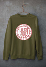 Load image into Gallery viewer, Cornell University Unisex Sweatshirt for Men/Women-Olive Green-Ektarfa.online