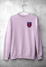 Load image into Gallery viewer, Odisha FC Sweatshirt for Men/Women-Light Pink-Ektarfa.online
