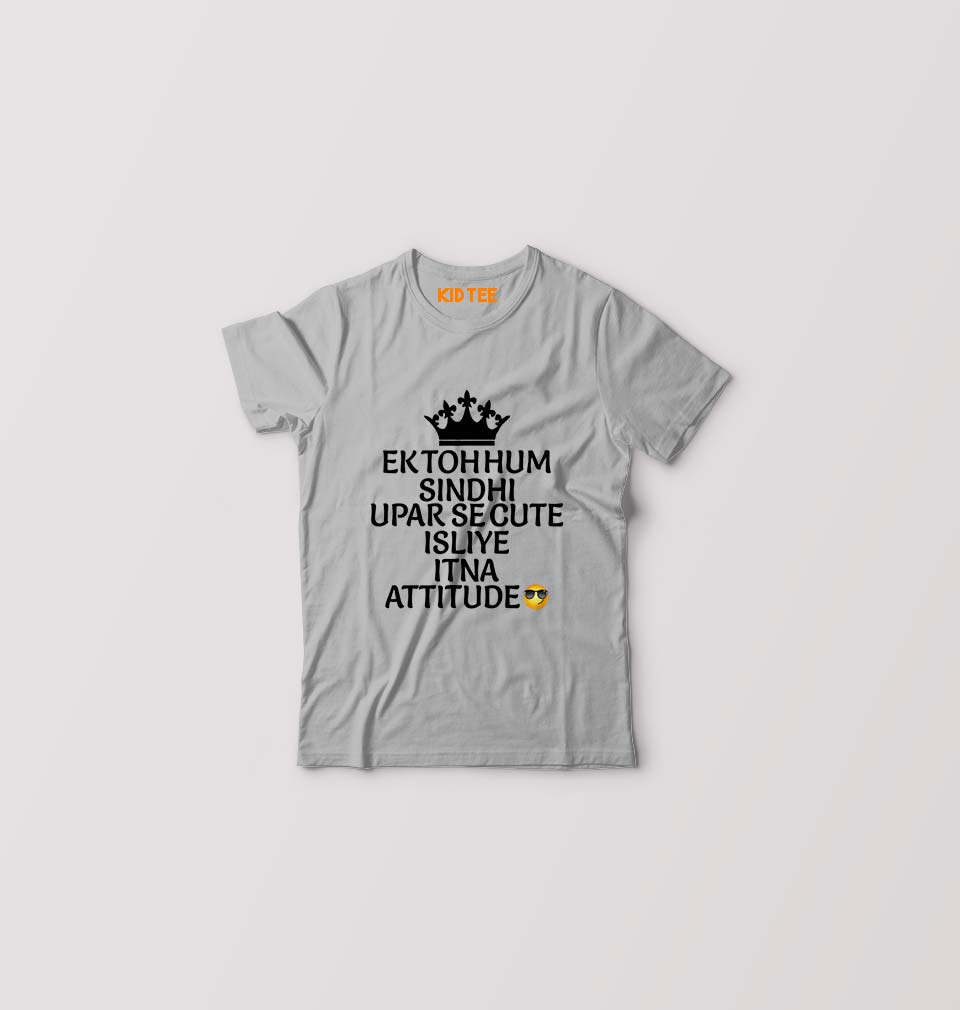 Ek Toh Hum Sindhi Kids T-Shirt for Boy/Girl-Grey-Ektarfa.online