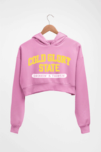 Load image into Gallery viewer, Varsity Cold Glory Crop HOODIE FOR WOMEN-Light Baby Pink-Ektarfa.online
