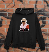 Load image into Gallery viewer, Igor Unisex Hoodie for Men/Women-Black-Ektarfa.online
