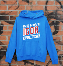 Load image into Gallery viewer, Igor Unisex Hoodie for Men/Women-Royal Blue-Ektarfa.online

