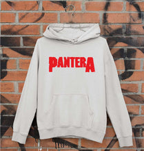 Load image into Gallery viewer, Pantera Unisex Hoodie for Men/Women-Grey-Ektarfa.online
