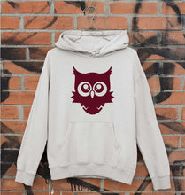 Load image into Gallery viewer, Cute Baby Owl Unisex Hoodie for Men/Women-Grey Melange-Ektarfa.online

